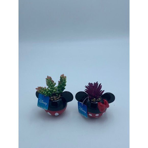 Disney Mickey and Minnie Mouse mini planters with Faux Succulents - Picture 4 of 10